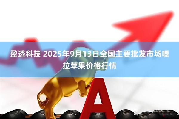 盈透科技 2025年9月13日全国主要批发市场嘎拉苹果价格行情