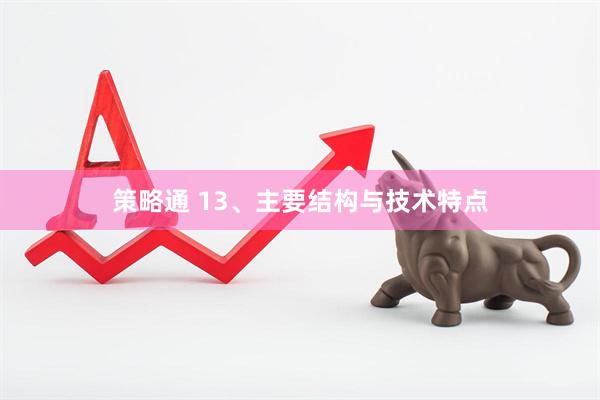 策略通 13、主要结构与技术特点