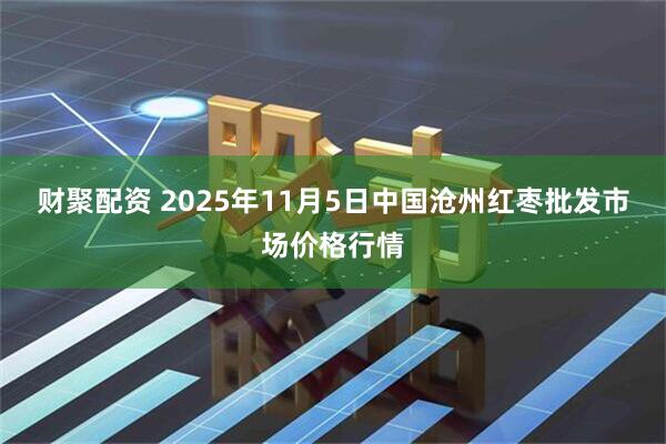 财聚配资 2025年11月5日中国沧州红枣批发市场价格行情